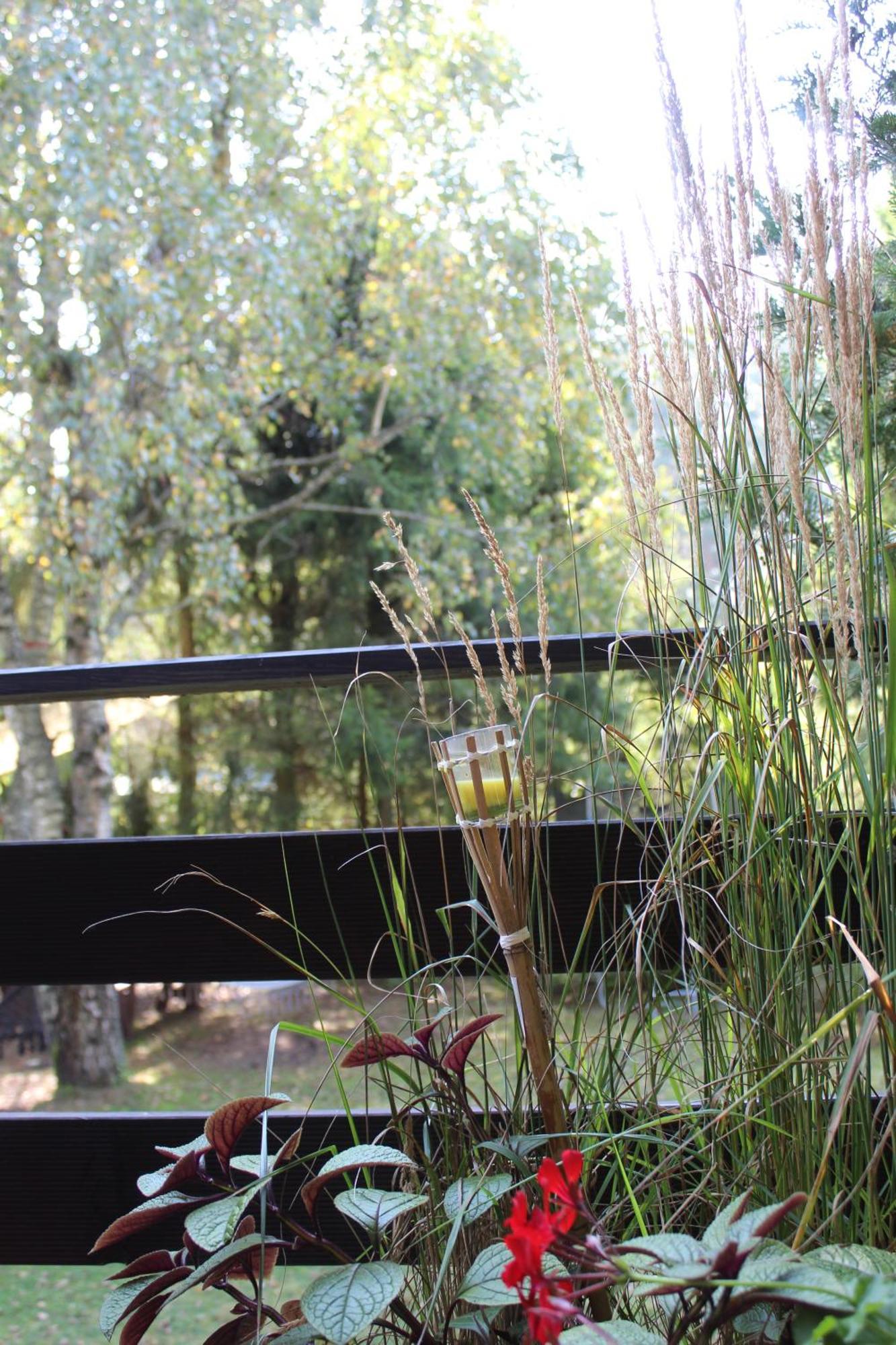 Na Kaszubach W Kamieniu Holiday home *