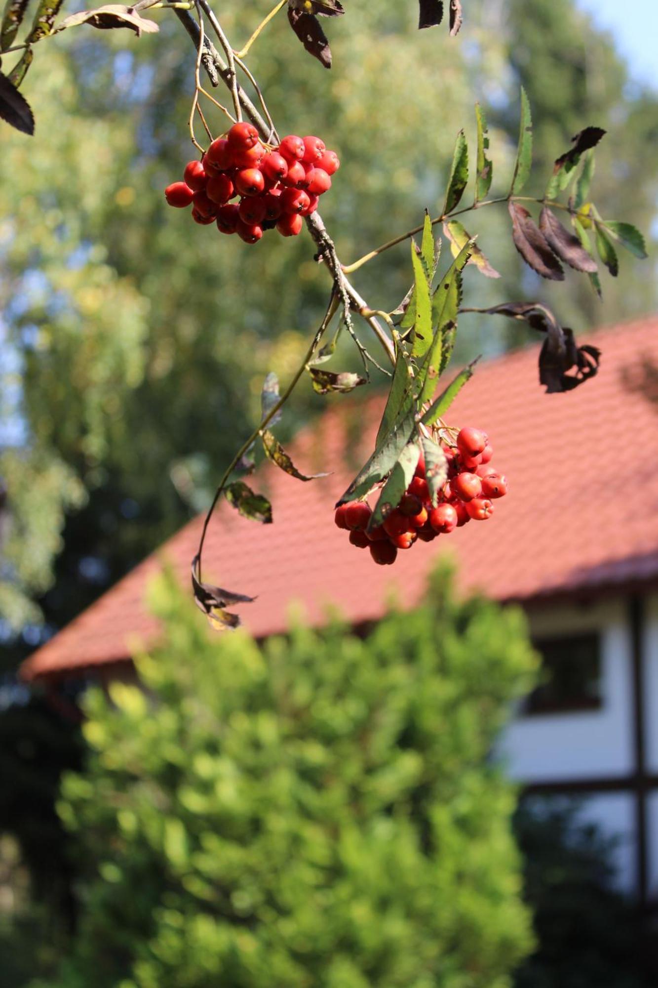 Na Kaszubach W Kamieniu Dom wakacyjny Kamień